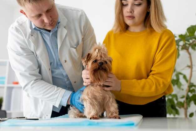 Metronidazole for Dogs