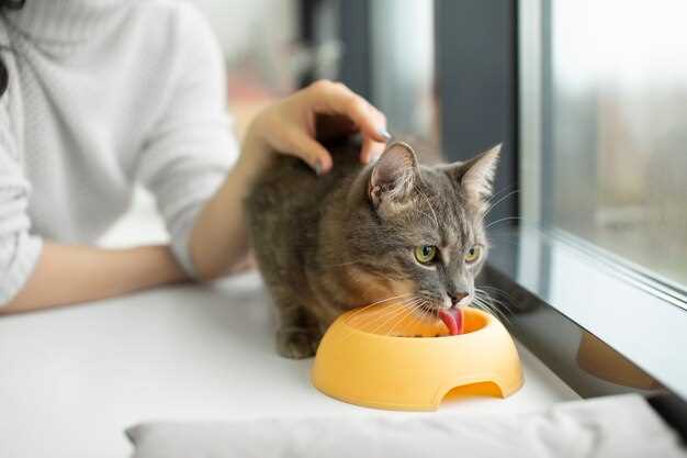 Common Uses in Cats