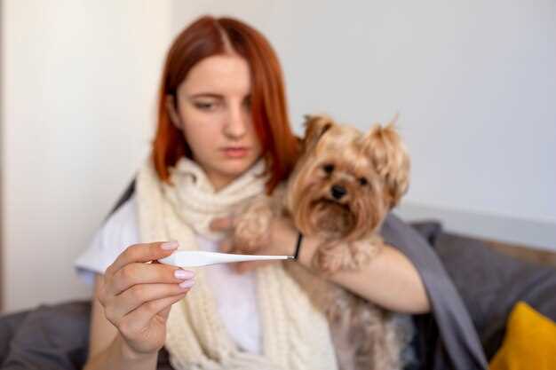 Can a pregnant dog take metronidazole