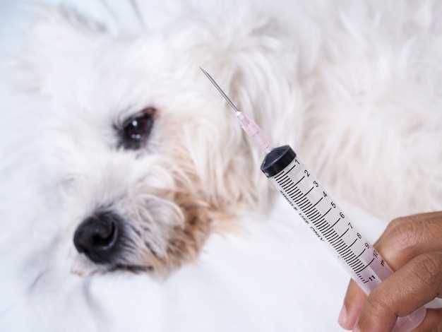 Can metronidazole cause gas in dogs