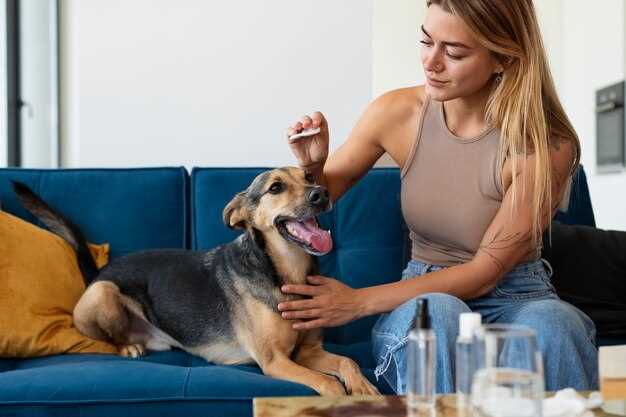 Can you give dogs metronidazole