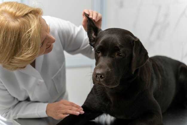 Metronidazole in dogs side effects