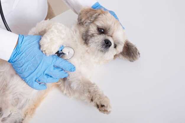 Metronidazole liquid for puppies