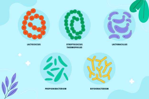 Metronidazole salmonella typhi